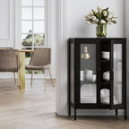Black Modern Industrial Style Display Cabinet