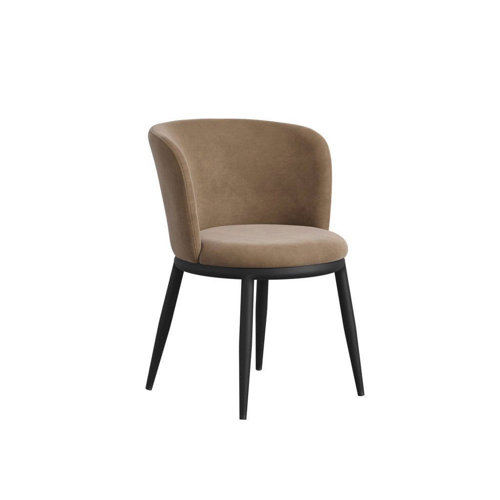 Rina Black Dining Table with 6 Nova Mole Chairs