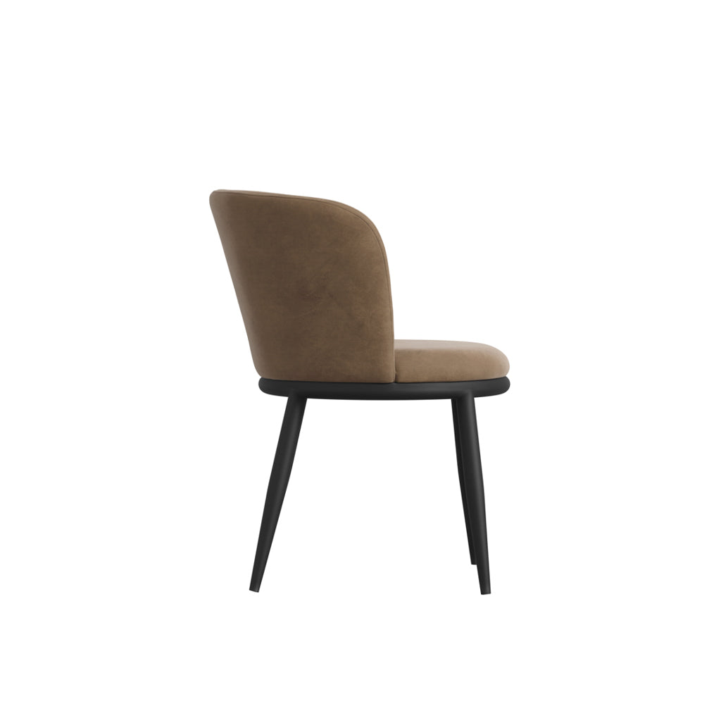 Rina Black Dining Table with 6 Nova Mole Chairs