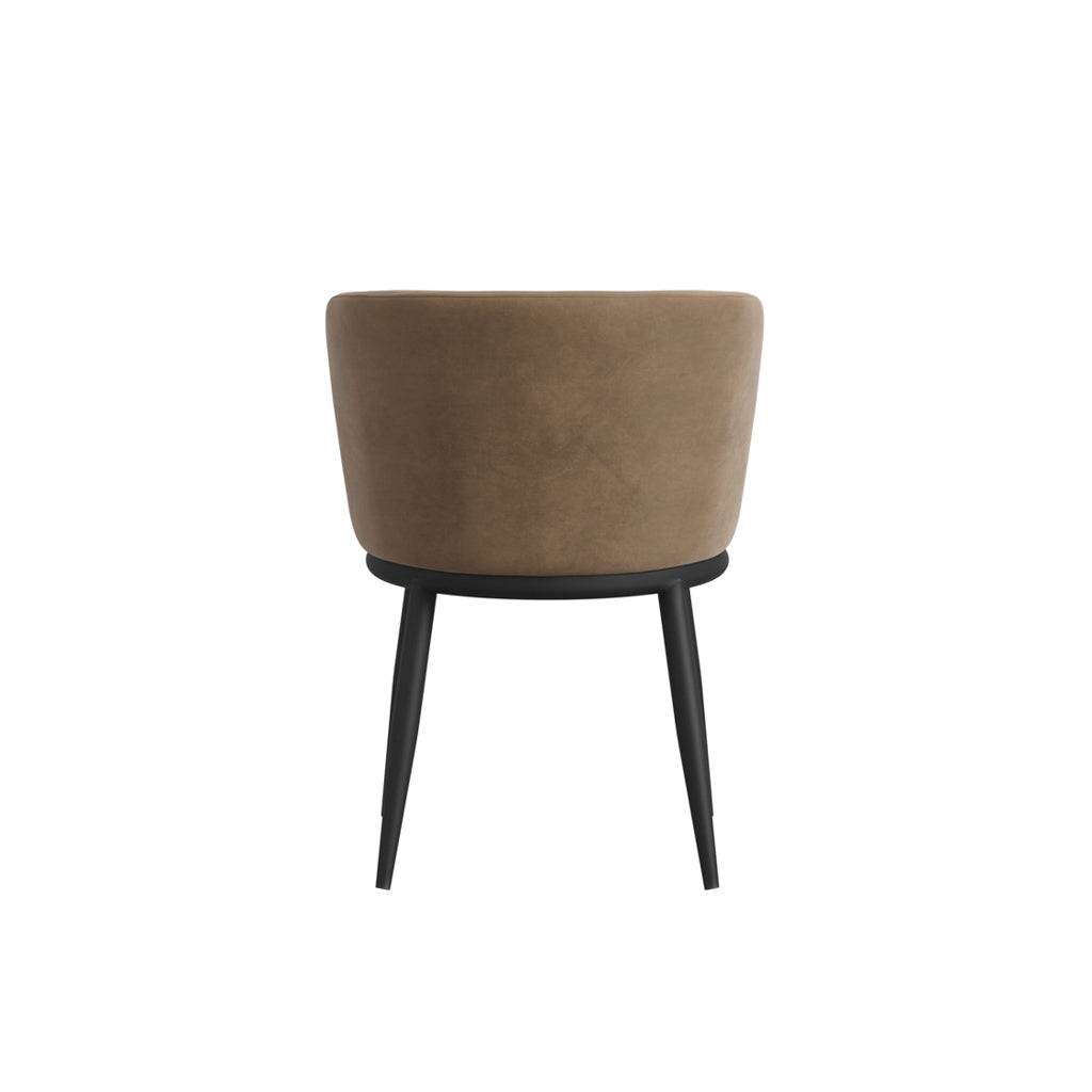 Rina Black Dining Table with 6 Nova Mole Chairs