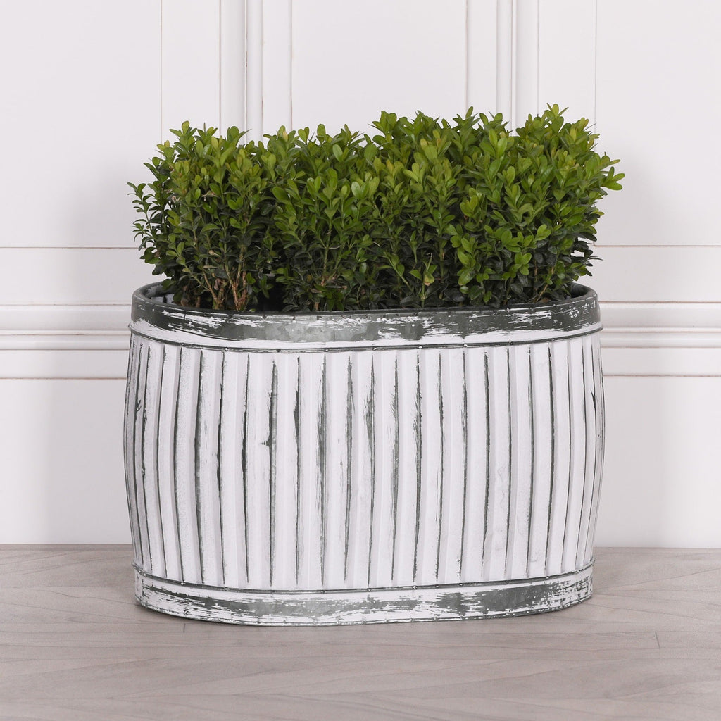 Dolly Tub Oval Metal Planter – Medium