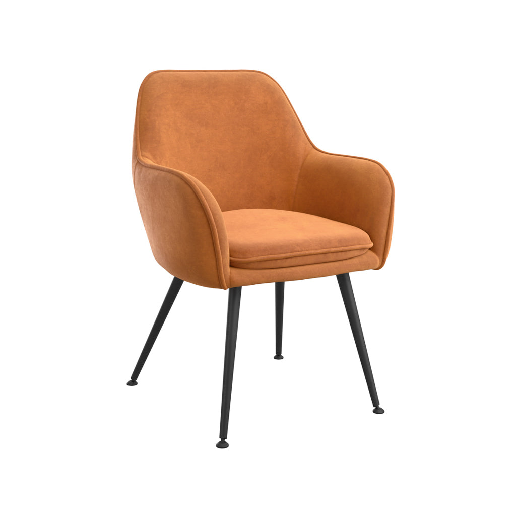 Pair Of Cosy Dining Chairs In Burnt Rust