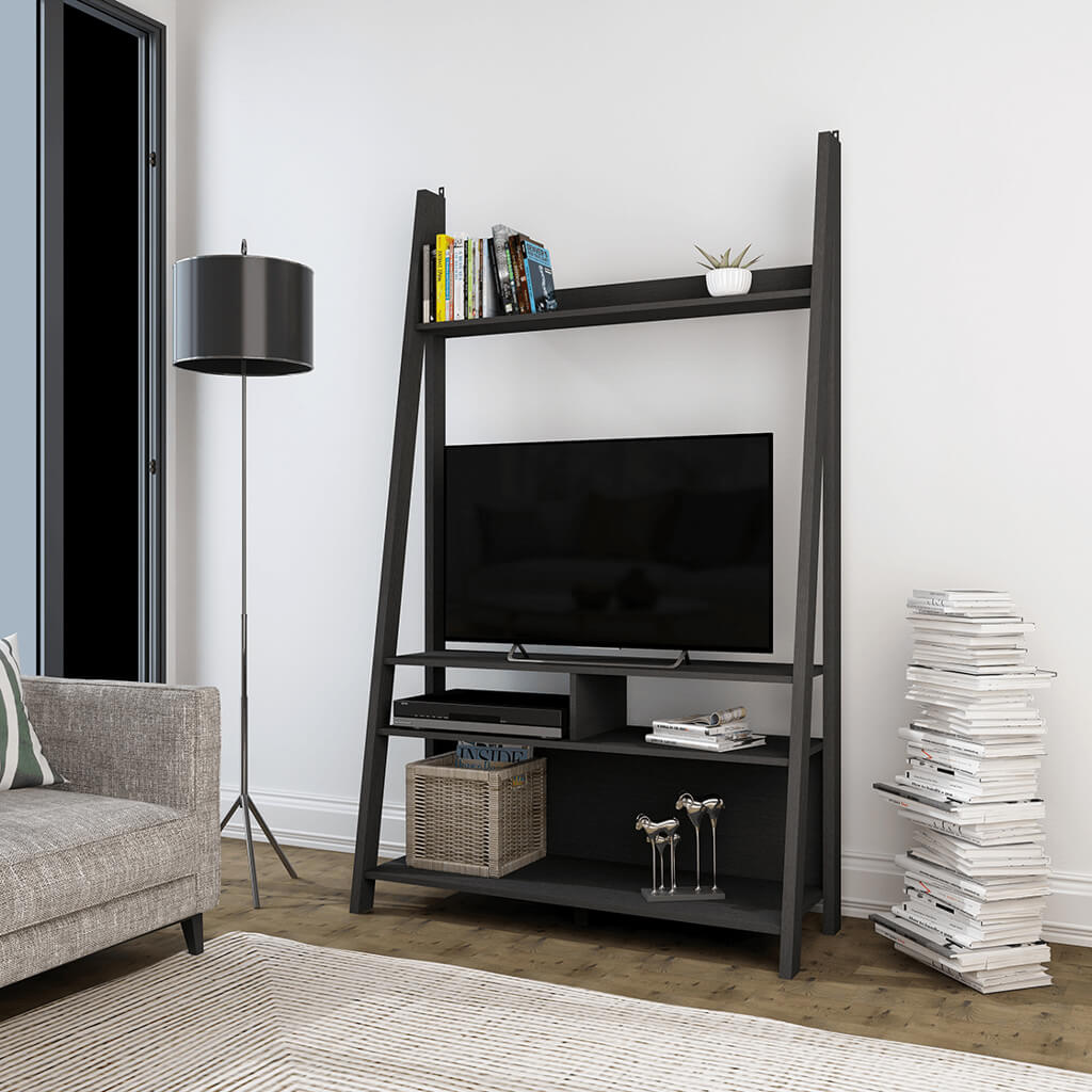 Black Ladder Media Unit